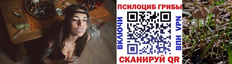 Псилоцибиновые грибы прущие грибы  Кропоткин 
